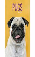 PUGS A5 DIARY 2021
