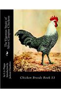 Vigorous Strain of Silver Campine Chickens: Chicken Breeds Book 53