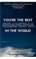 You're the best Grandma in the world-amazing gift for grandmother, DIY book, Women's day gif, Mother's day gift, the sweetest gift, personalize your perfect gift, gift for grandma, gift for granny