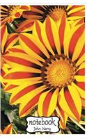 Notebook Journal Dot-grid, Graph, Lined, Blank No Lined Sunflower: Small Pocket Notebook Journal Diary, (Blank Notebook Journal)
