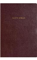 Rainbow Study Bible-RV 1960