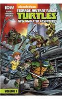 Teenage Mutant Ninja Turtles: New Animated Adventures: Volume 1