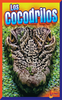 Los Cocodrilos: (Aventuras Reptilianas)