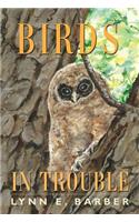 Birds in Trouble