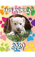 Baby Animals! 2020 Calendar (UK Edition)