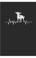 Chihuahua Heartbeat