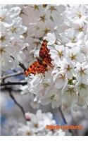 Butterfly Lined Journal: Butterflies, Moths, Plants and Flowers Pocket Notebook