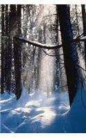2019 Daily Planner Winter Theme Sun On Snow 384 Pages