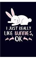 I Just Really Like Bunnies, Ok: Bunny Rabbit Journal