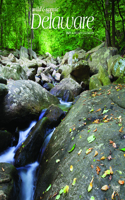Delaware Wild & Scenic 2023 Square