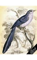 Bird Notebook Collection