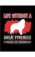 Life Without A Great Pyreness Is Possible But Meaningless.