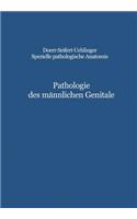 Pathologie Des Männlichen Genitale