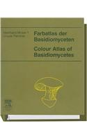 Farbatlas Der Basidiomyceten, Lfg. 22