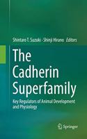 Cadherin Superfamily