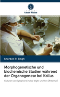 Morphogenetische und biochemische Studien während der Organogenese bei Kallus