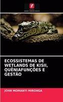 Ecossistemas de Wetlands de Kisii, Quêniafunções E Gestão