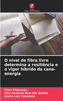 O nível de fibra livre determina a resiliência e o vigor híbrido da cana-energia