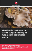 Gestão de resíduos de arroz (Oryza sativa) no Gana com cogumelos ostra