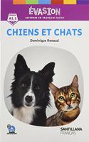Evasion chiens et chats niv.intro 2ed - santillana