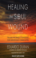 Healing the Soul Wound