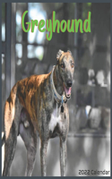 Greyhound calendar 2022