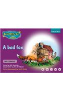 Read Write Inc Phonics Purple Set 2 Storybooks Mixed Pack of 10: (Read Write Inc)