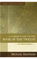 Commentary on the Book of the Twelve