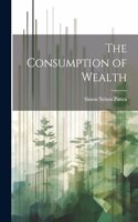 Consumption of Wealth