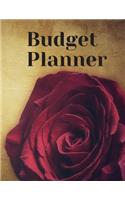 Budget Planner: Budget Planner Organizer Daily Monthly & Yearly Budgeting Calendar Organizer for Expences Money Debt and Bills Tracker Undated