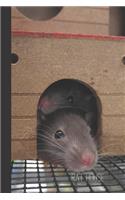 Rat House