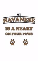 My Havanese is a heart on four paws