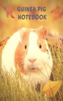 Guinea Pig Notebook