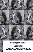 Bedlington Terrier Lovers Calendar 2019-2020