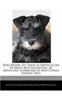 Dog Breeds 101