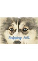 Sledgedogs 2018 / UK-Version 2018