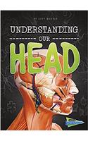 Understanding Our Head