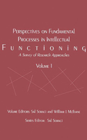 Perspectives on Fundamental Processes in Intellectual Functioning