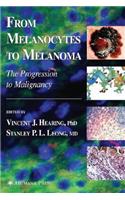 From Melanocytes to Melanoma