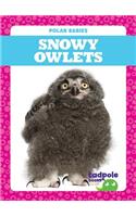 Snowy Owlets