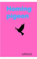homing pigeon