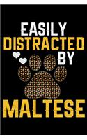 Easily Distracted by Maltese