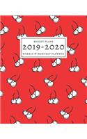 2019-2020