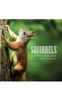 Squirrels Calendar 2020: 16 Month Calendar