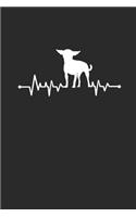 Chihuahua Heartbeat
