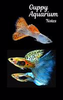 Guppy Aquarium Notes