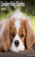 Cavalier King Charles Spaniel 2021 Wall Calendar