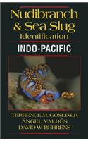 Nudibranch & Sea Slug Identification
