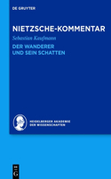 Kommentar Zu Nietzsches Der Wanderer Und Sein Schatten