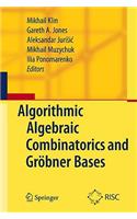 Algorithmic Algebraic Combinatorics and Gröbner Bases
